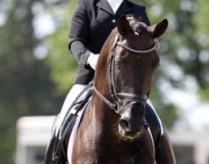 Jana Freund aboard the Dutch bred Aaron (by Florencio x Record), owned by Belgian Louis Livens from Stable De Pronkenberg in Kontich