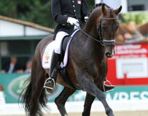 Theo Hanzon and Zhivago at the 2010 World Young Horse Championships :: Photo © Astrid Appels