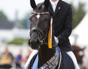Andreas Helgstrand on UNO Donna Unique win the 2010 World Young Horse Championships :: Photo © Astrid Appels