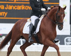Eva Jancarikova, from the Czech Republic, finished sixth in the consolation finals with Ferry, a Hanoverian by Federweisser x Weltmeyer. The pair scored 7.84. Ferry is a gorgeous, refined horse but is quite sensitive.
