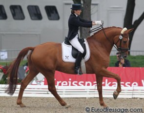 Esther Maruhn on the old-fashioned but delightful Hanoverian Watulele (by Wolkenstein II x Frappant). The horse paddles extremely and could be quicker from behind, but he was so well ridden with balance: proof this uberstreichen
