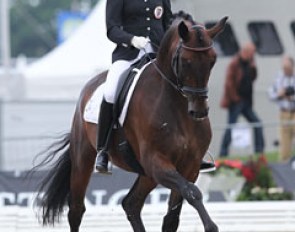 Austrian Astrid Neumayer on  the Oldenburg stallion Heops (by Hohenstein x Democraat).