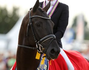 Emmelie Scholtens and Astrix Win Gold at the 2010 World Young Horse Championships :: Photo © Astrid Appels