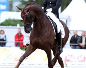 Skovens Rafael at the 2010 World Young Horse Championships :: Photo © Astrid Appels