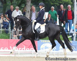 Belgian Natasja van den Bogaert ranked 17th in the B-finals at the 2010 WCYH in Verden. QC Roberto Cavalli, a Hanoverian stallion by Rotspon x Metternich, scored 7.36 in total. In the preliminary round he was one of very few to get a 9 for walk.