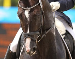 Spanish Juan Manuel Vidal aboard Jorge de la Lastre's Oldenburg stallion Somerset (by Stedinger).