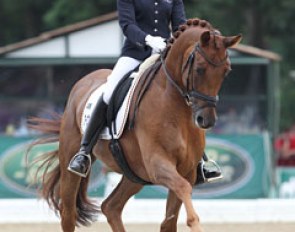 Jessica Werndl and the drop dead gorgeous Redford (by Rosentau x Escudo) tied with Honnerups Driver in 12th place. They scored high with the walk and trot, but struggled with the changes.