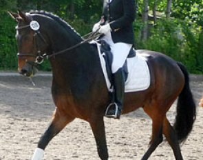 Cathrin Beckmann on Rock Ribery at the 2010 Wedel Bundeschampionate Qualifier