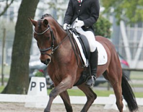 Mandy van den Hoek on Voorwijks Celeste