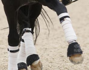 Totilas' legs in the warm up :: Photo © Astrid Appels