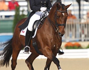 Bonny Bonnello and Pikardi at the 2010 World Equestrian Games :: Photo © Astrid Appels