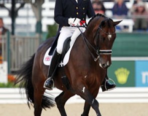 Carl Hester and Liebling II at the 2010 World Equestrian Games :: Photo © Astrid Appels