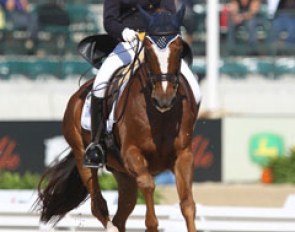 Finnish Emma Kanerva on the chestnut Sini Spirt. They put in a very energetic ride, but the horse needs much more sit in the piaffe. He tends to pull his hocks high instead of moving the hind legs towards the gravity point