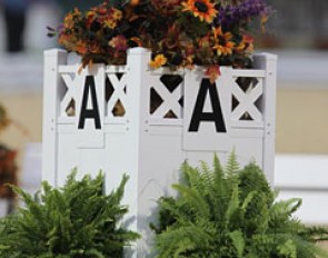 Dressage at the 2010 World Equestrian Games :: Photo © Astrid Appels