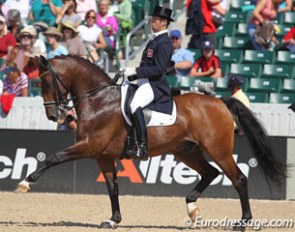 Michal Rapcewicz on Randon at the 2010 World Equestrian Games :: Photo © Astrid Appels