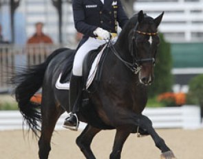 Matthias Rath and Sterntaler at the 2010 World Equestrian Games :: Photo © Astrid Appels