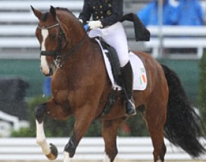 Riding as an individual for Ireland: Judy Reynolds on Remember. They were riding in the middle of a major rain shower