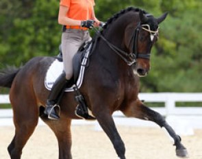 Imke Schellekens-Bartels (with helmet) schooling Sunrise at the 2010 World Equestrian Games :: Photo © Astrid Appels