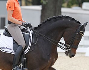 Imke Schellekens-Bartels schooling Sunrise