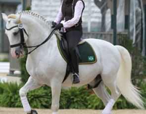 Brazilian Luiza Almeida Tavares on Brazil