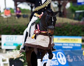 Steffen Peters wins with Ravel