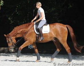 Each ride finishes with relaxed long deep and low riding, over the back