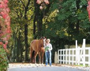 Nadine Capellmann and Girasol at their gorgeous home stable in Wurselen, Germany