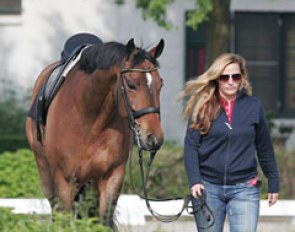 Ashley Holzer's groom leads Eliane Cordia's Sonnenstern (by Sandro Hit x Sion)