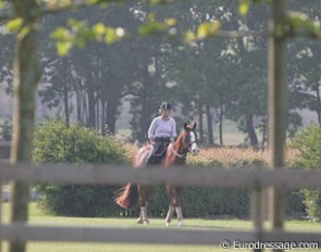 plenty of room at Jewel Court Stud for a cool-down walk