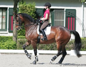 Belinda Trussel and Anton showing a textbook piaffe