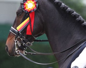 Akiko Yamazaki's Dutch warmblood gelding Ravel in the ribbons