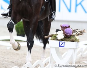 Dressage in Aachen :: Photo © Astrid Appels