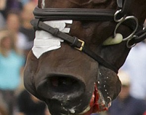 Blood in the horse's mouth at the 2011 CCI Aachen :: Photo © Julia Rau