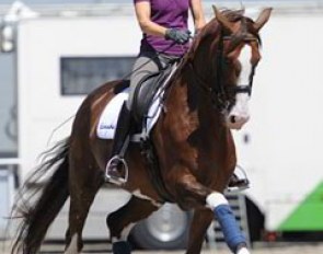 Aachen based Nadine Capellmann schooling her small tour horse Diamond Girl (by Diamond Hit)