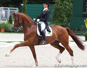 Adelinde Cornelissen on Parzival