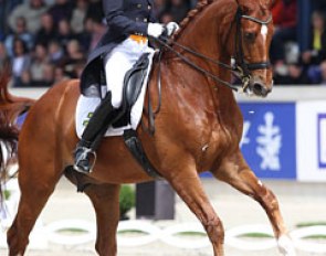 Adelinde Cornelissen and Parzival