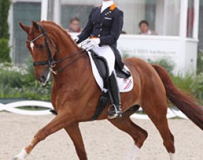 Adelinde Cornelissen on Parzival