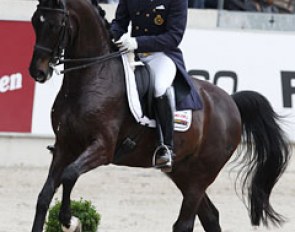 Belgian Jeroen Devroe on Apollo van het Vijverhof