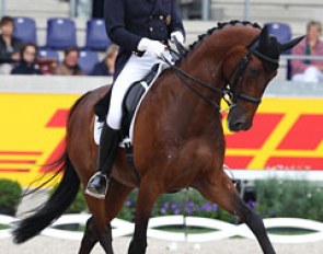 Emile Faurie and Elmegardens Marquis at the 2011 CDIO Aachen :: Photo © Astrid Appels
