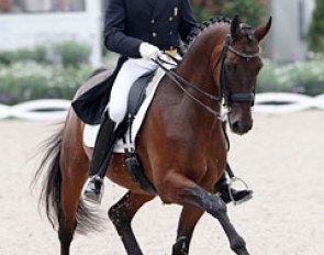 A very much liked pair: Tedd Flettrich and Cherry Knoll Farm's Danish warmblood gelding Otto (by Rambo x Rampal)