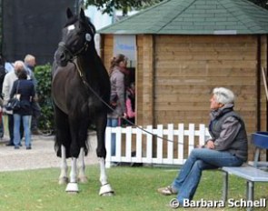 Uta Gräf taking her stallion Le Noir for a stroll