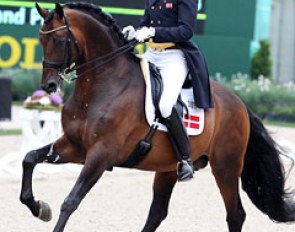 Sune Hansen on Blue Hors Romanov at the 2011 CDIO Aachen :: Photo © Astrid Appels