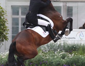 ...but the sensitive Michellino offspring was terrified in the Aachen arena