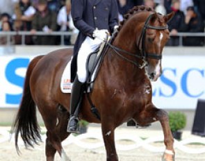 Han Peter Minderhoud and Tango at the 2011 CDIO Aachen :: Photo © Astrid Appels