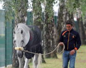 Juan Manuel Munoz Diaz and Fuego going for a walk