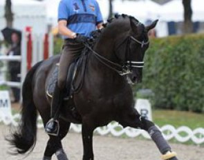 Matthias Rath schooling Totilas. At least this conscientious young rider is wearing a helmet and setting an example. Well done!!!