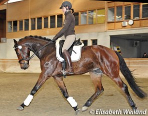 Guest judge rider Isabel Justrich on the runner up Shine SPM (by Hotline x Stedinger) :: Photo © Elisabeth Weiland