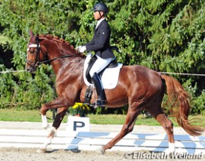 Gilles Ngovan and Furstentraum win the 4-year old Swiss Young Horse Championship :: Photo © Elisabeth Weiland