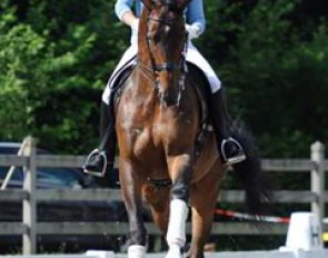 Isabell Werth brought four horses (and one groom) to Balve. She competed Laurenti in the Nurnberger Burgpokal qualifier but had to retire her powerhouse horse