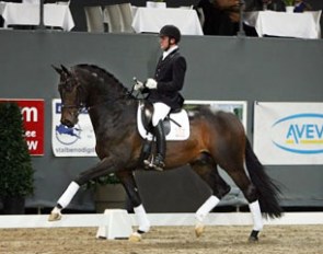 Bon Bravour (by Painted Black x Chronos xx)